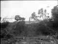The Poole Photographic Collection