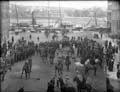 The Poole Photographic Collection