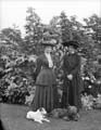 The Poole Photographic Collection