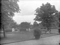 The Poole Photographic Collection