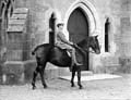 The Poole Photographic Collection