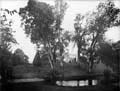 The Poole Photographic Collection