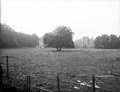 The Poole Photographic Collection