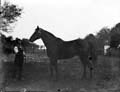 The Poole Photographic Collection