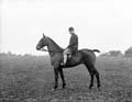The Poole Photographic Collection