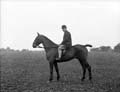 The Poole Photographic Collection