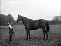 The Poole Photographic Collection