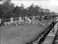 The Poole Photographic Collection