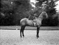 The Poole Photographic Collection