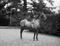 The Poole Photographic Collection