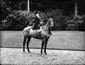 The Poole Photographic Collection