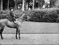 The Poole Photographic Collection