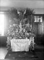 The Poole Photographic Collection