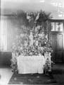 The Poole Photographic Collection