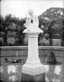 The Poole Photographic Collection