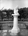 The Poole Photographic Collection