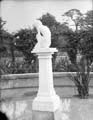 The Poole Photographic Collection