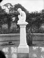 The Poole Photographic Collection