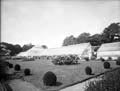 The Poole Photographic Collection