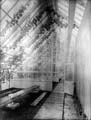 The Poole Photographic Collection