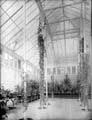 The Poole Photographic Collection