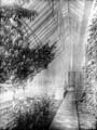 The Poole Photographic Collection