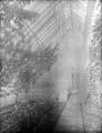 The Poole Photographic Collection