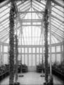 The Poole Photographic Collection