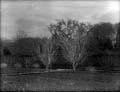 The Poole Photographic Collection