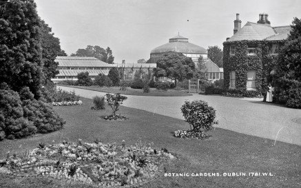 Black and white image of the National Botanic Gardens in Dublin with a lawn and greenhouse in the background.