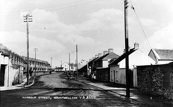 Mountmellick Library Holdings: Harbour Street, Mountmellick :: Library Catalog