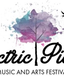 Electric Picnic logo for 2014 with text and tree design