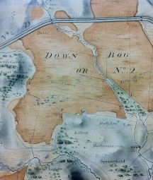 Map of the Bog of Allen. NLI MS map (16 D. 13 (4) )