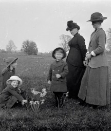 Women and children enjoying daffodils during spring