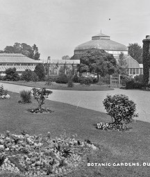 Black and white image of the National Botanic Gardens in Dublin with a lawn and greenhouse in the background.