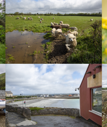 A selection of photographs by Paula T. Nolan