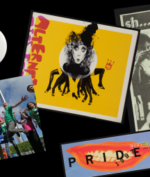 Collage of LGBT + Yes Equality collection materials