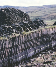 A photo of a bog showing the cuts made into the ground to collect peat.