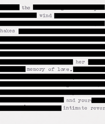 A black out poem of a Heaney manuscript where most of the words are blacked out except for 'The wind shakes her memory of love.'