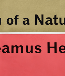 The text Death of Naturalist by Seamus Heaney on top of red and sand coloured background