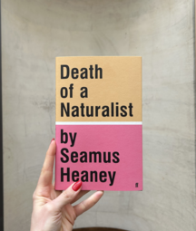A hand with red-painted nails holds a book titled “Death of a Naturalist by Seamus Heaney.” The cover is split into two colors—beige on top and pink on the bottom—with bold black text. The background is a plain, light gray wall with a curved wooden surface at the bottom.
