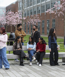 Group of students on DCU campus