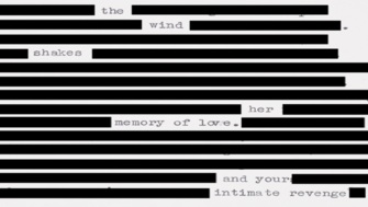 An image of black out poetry