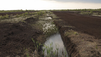 A shallow drainage channel filled with water runs through the Bog of Allen, bordered by dark soil, grasses, and small white flowers beneath an overcast sky.