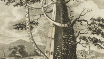 Ornate Harp in natural environment surrounded by other traditional Irish instruments. 