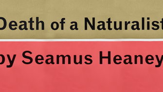 The text Death of Naturalist by Seamus Heaney on top of red and sand coloured background