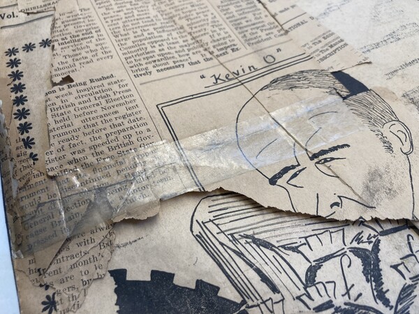 Tears and old repairs