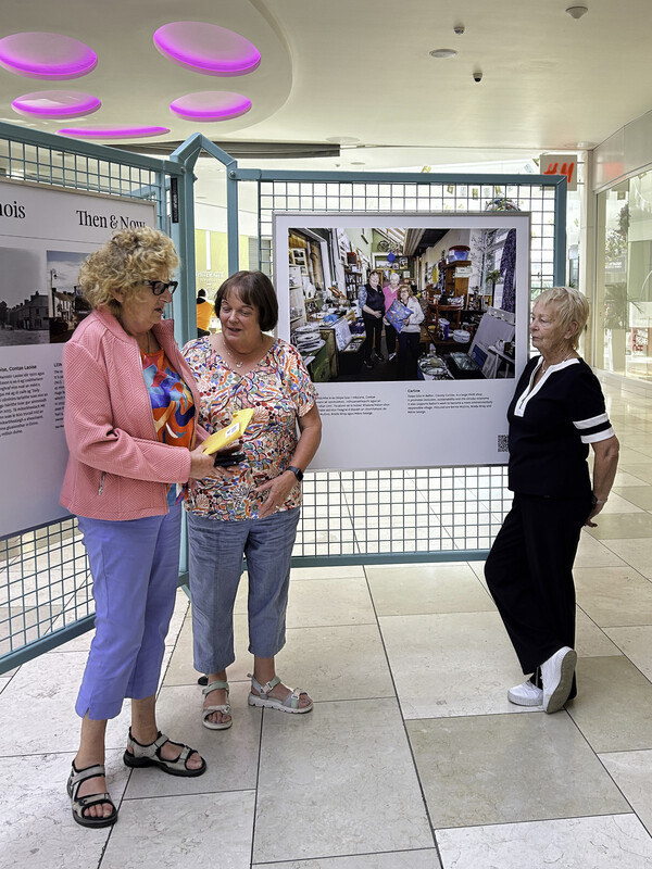Máire George, Breda Wray and Bernie Mullins from Síopa Glas, Ballon, County Carlow