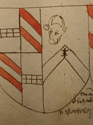 The Coat of Arms of Lady Elizabeth Botheler 