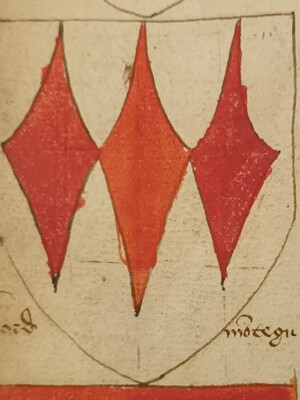 The Coat of Arms of Lord Montagu 